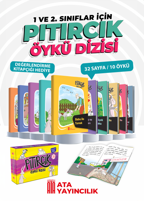 PITIRCIK ÖYKÜ DİZİSİ